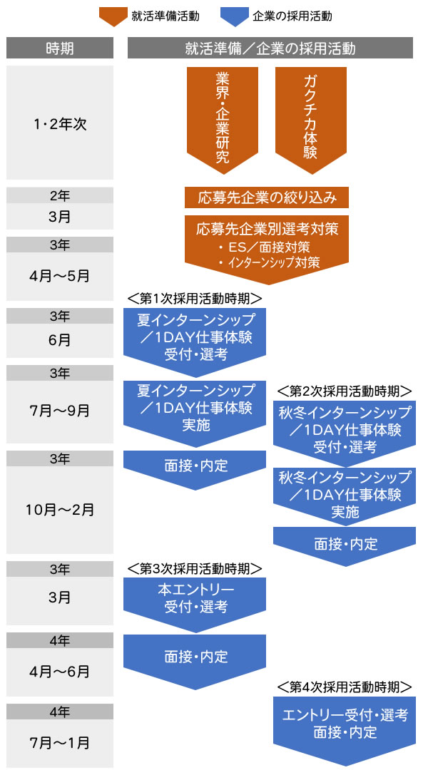 採用スケジュールの実態